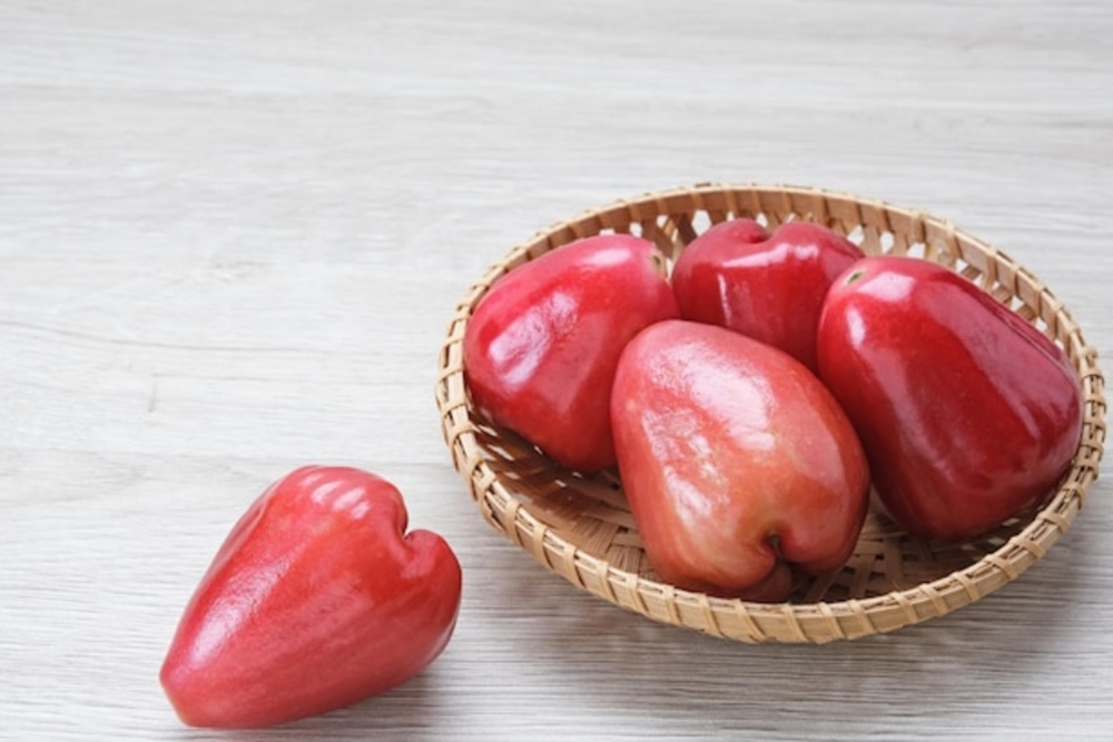 Jambu Air Dalhari Sleman Resmi Peroleh Sertifikat Indikasi Geografis