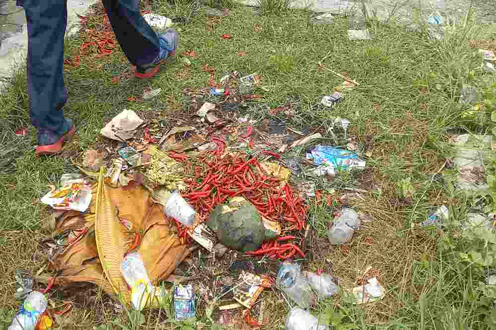 Cuaca Buruk Rusak Panen Cabai di Kawasan Pantai Trisik Kulonprogo