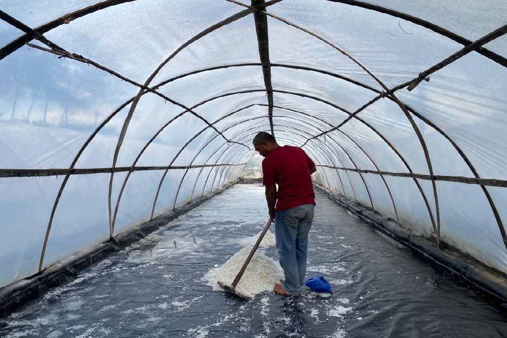 Petani Garam Tanggul Tirto di Bantul Bertahan dengan Proses Alami