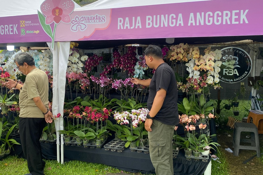 Kejayaan Vanda Tricolor Merapi Bersinar di Festival Anggrek