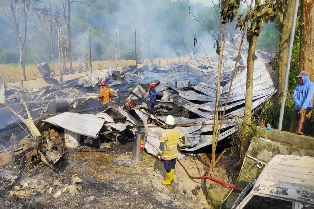12.000 Ayam Mati Terpanggang dalam Kebakaran Kandang