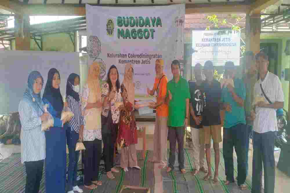 Warga Panen Maggot, Sampah Organik Bisa Jadi Tabungan