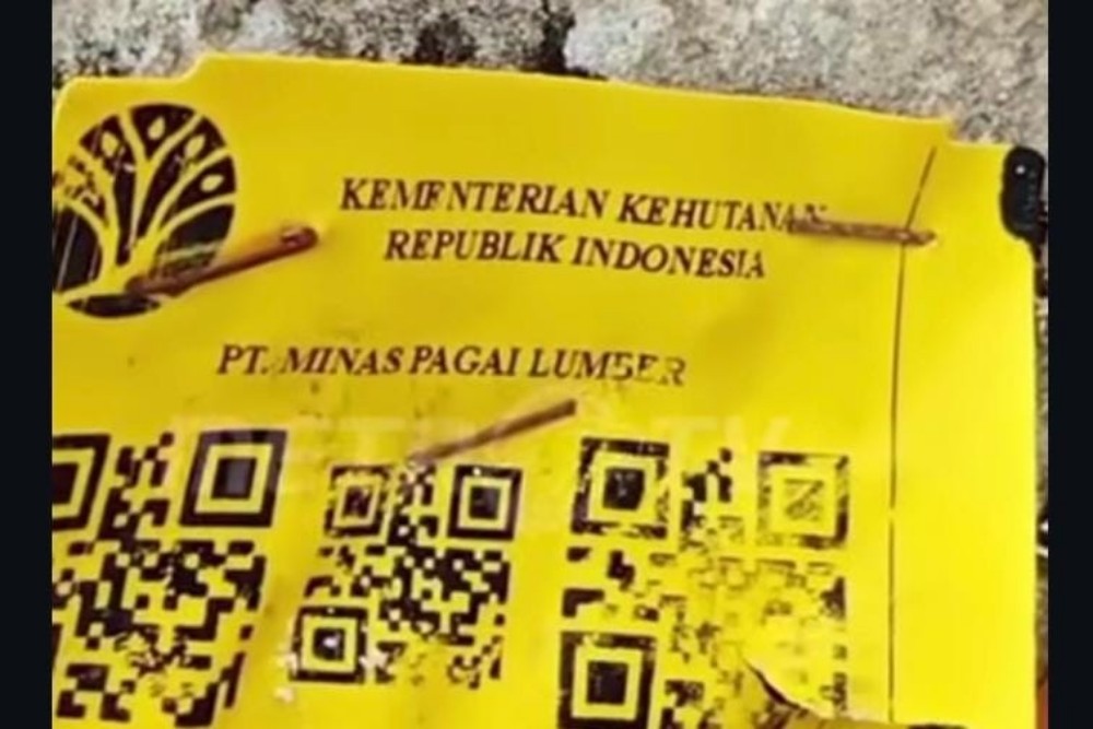 Polda Lampung Telusuri Kayu Misterius di Pesisir Barat