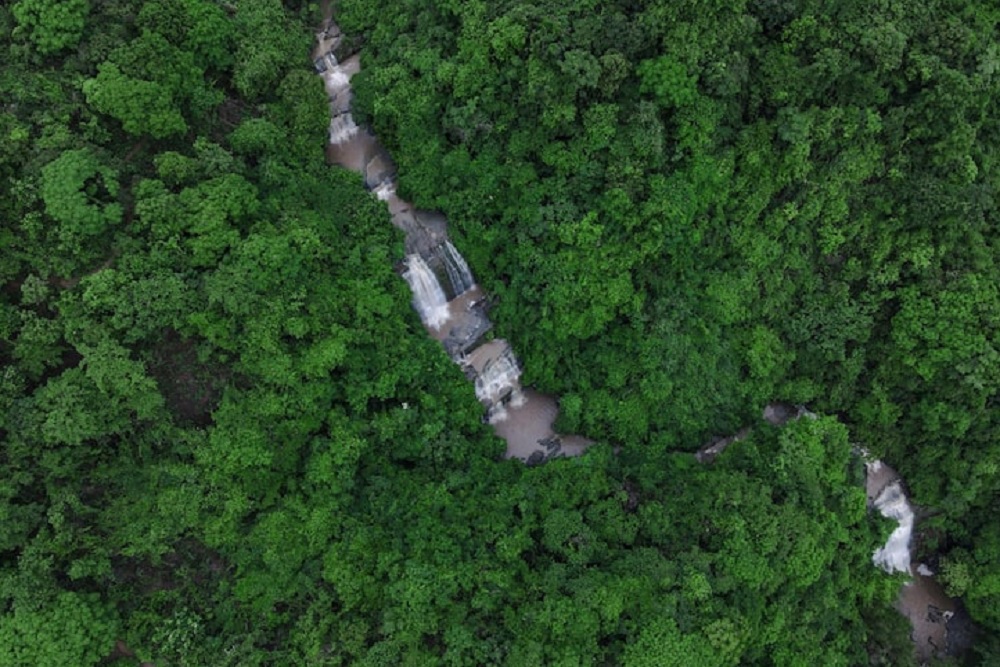 Izin Pemanfaatan Hutan 1 Juta Ha Dicabut karena Merusak Lingkungan
