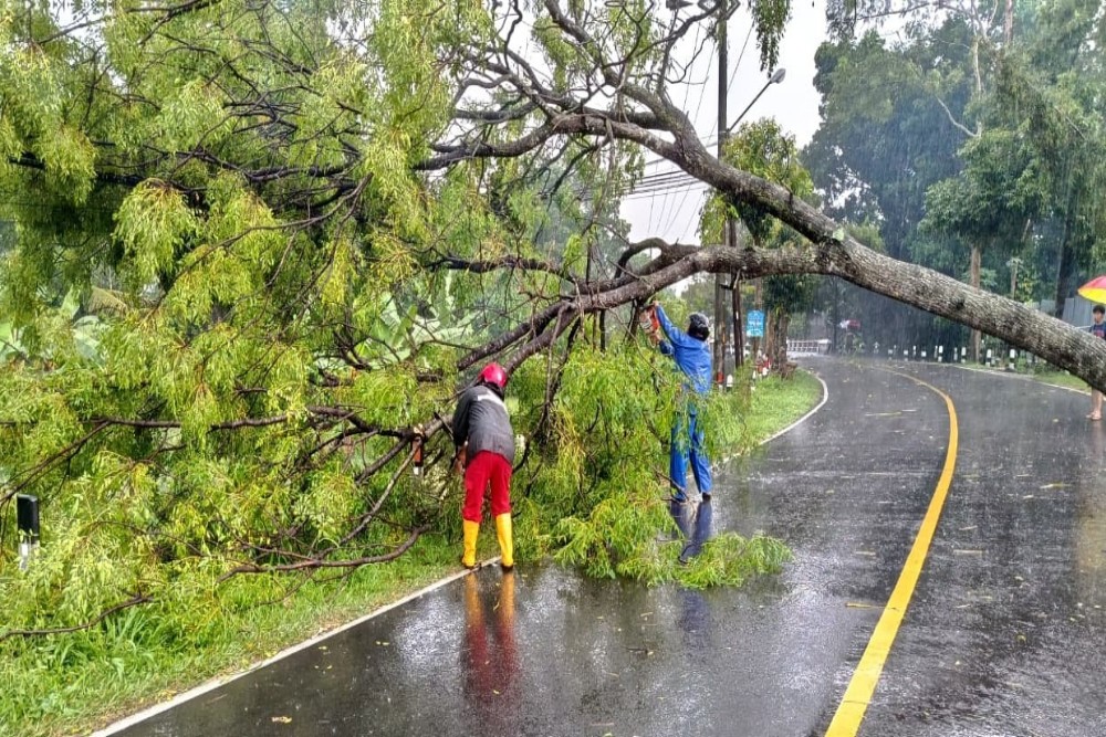Angin Kencang Terjang Sleman, Akses Jalan Terganggu