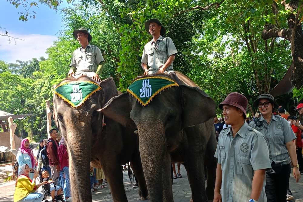 Libur Nataru, Kunjungan Gembira Loka Zoo Tembus 10.000 Orang per Hari