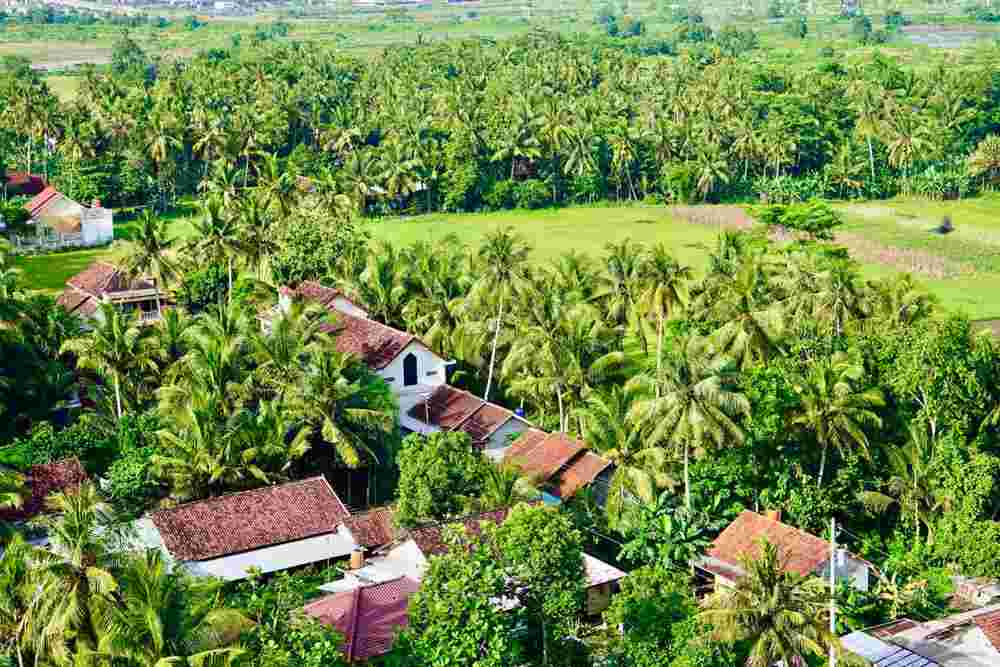 Reforma Agraria Dorong Gula Semut Hargorejo Tembus Ekspor