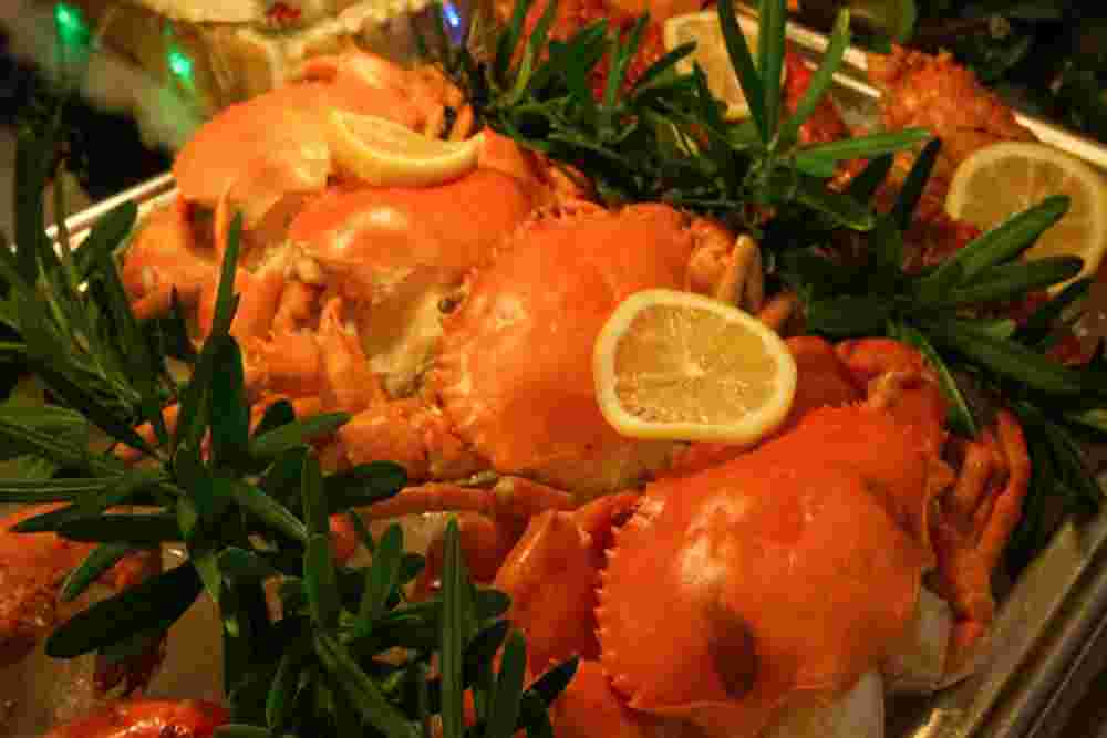 Natal dan Tahun Baru di THE 1O1 Yogyakarta Tugu