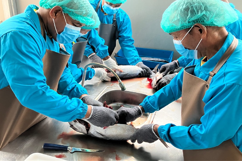 JICA dan KKP RI Latih Tenaga Perikanan Timor Leste di Tegal