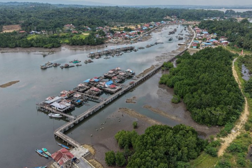 Indonesia Miliki Jutaan Hektare Mangrove, Tertuang di Peta Nasional