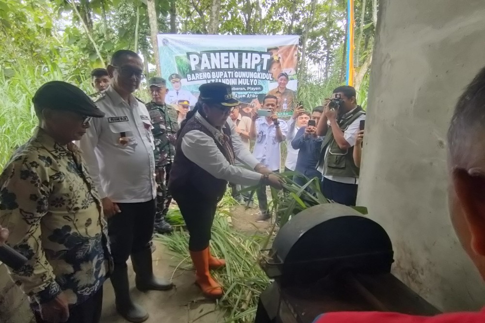 Cegah PMK pada Ternak, Bupati Gunungkidul Gencarkan Bebersih Kandang