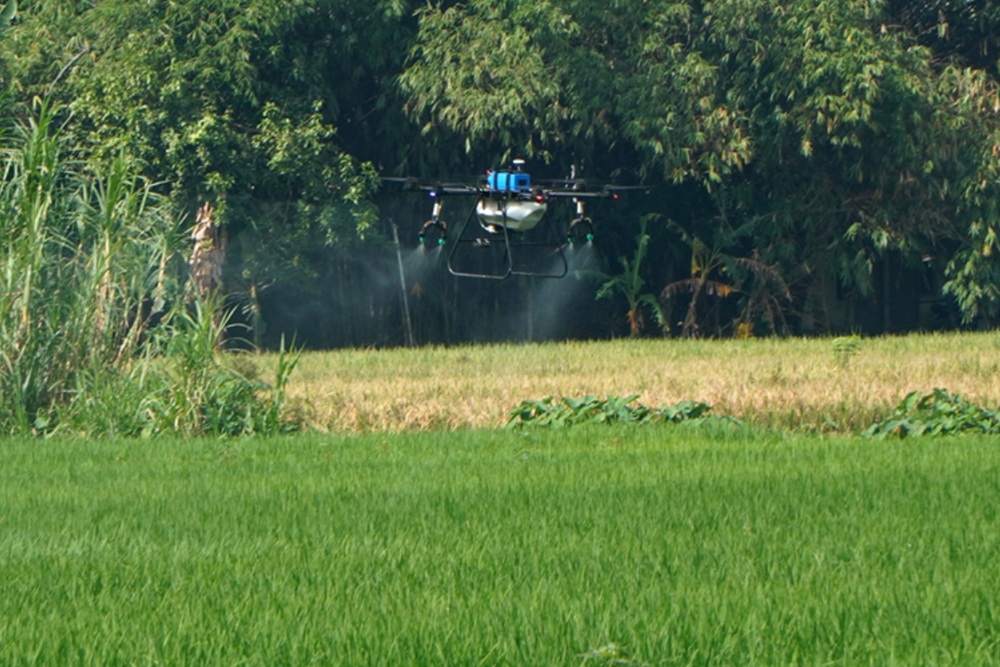 Petani Sewon Bantul Kendalikan Hama Padi Pakai Drone