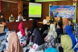 Budidaya Maggot Tegalrejo, Solusi Sampah Organik