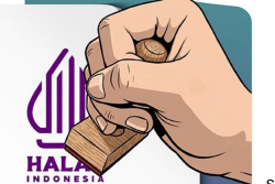 Sertifikasi Halal Gratis untuk Pelaku Usaha 2026