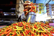 Harga Pangan Hari Ini: Cabai Rawit Tembus Rp78.500, Telur-Beras Naik