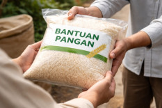 Bapanas Pastikan Harga Beras SPHP Tetap Meski Dolar AS Naik