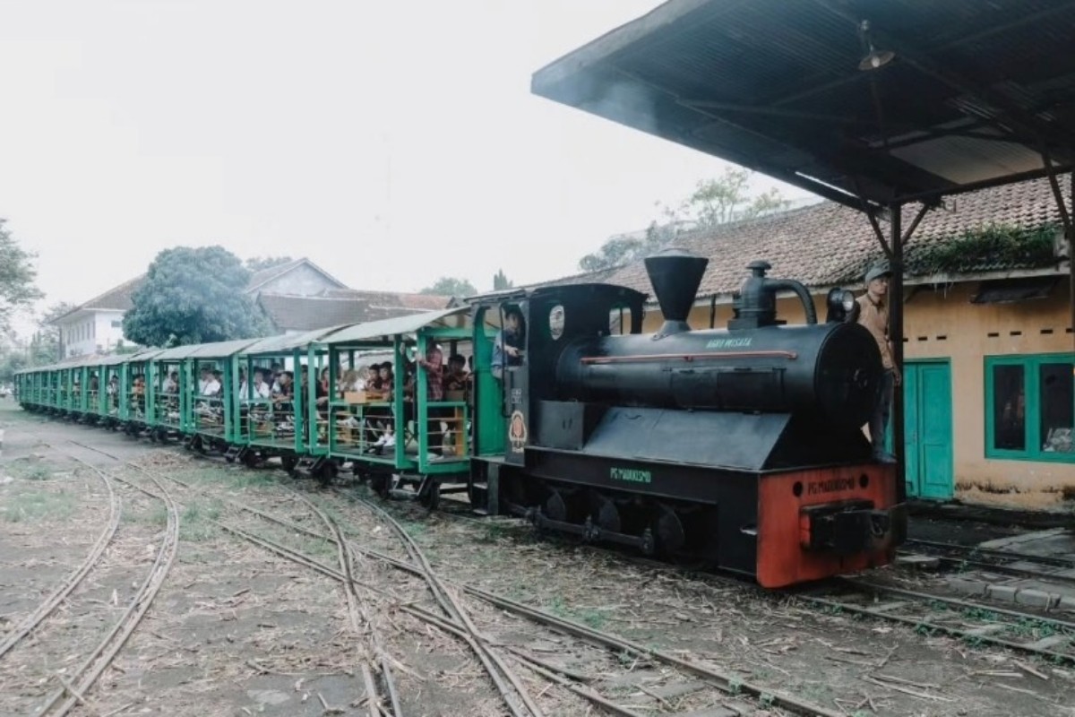 Wisata PG Madukismo, Naik Kereta Diesel Klasik dan Intip Produksi Gula