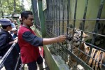 Warga Wonogiri Klaim Masih Ada Harimau Jawa, Ini Dasarnya