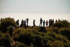 80 Petugas SAR Diterjunkan Mencari Pendaki Asal Selandia Baru yang Hilang di Merbabu