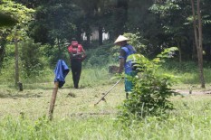 Sleman Dorong Penggunaan Tanah Kas Desa untuk Ruang Terbuka Hijau