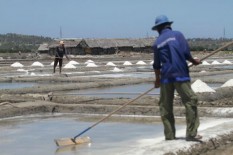 Impor Garam Demi Kelanjutan Dunia Industri