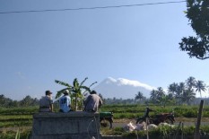 Peduli Lingkungan, Kejati DIY Tanam 100 Pohon di Lereng Merapi