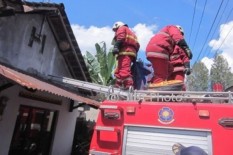 Harga Seragam Khusus Mahal, Tim Operasi Sarang Tawon di Solo Gunakan Seragam Damkar