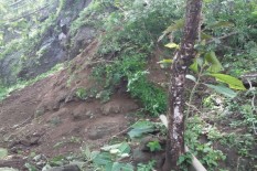 Jaringan Desa Tangguh Bencana di Gunungkidul Terus Diperluas