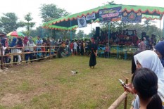 Kisah Supardi Jadikan Desa Transmigran Produktif, Mampu Menjamin Kesehatan Warga Melalui Iuran per KK