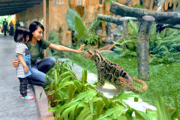 Dilengkapi Banyak Fasilitas Gembira Loka Zoo Siap Sambut