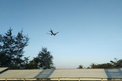 Berwisata di Hutan Mangrove Temon, Bonusnya Lihat Pesawat Landing