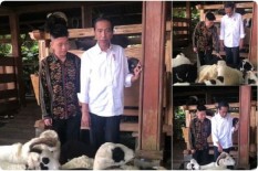 Diundang Jokowi ke Istana, Rapper Muda Ini Didoakan Netizen Jadi Menteri