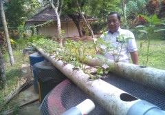 Di Sekolah Ini, Unsur Lingkungan Masuk Tiap Mata Pelajaran