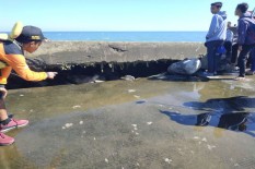 Ujung Pemecah Ombak Pantai Glagah Rusak, Wisatawan Dilarang Mendekat