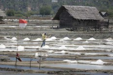 Petani Garam di Gunungkidul Belum Punya Pasar