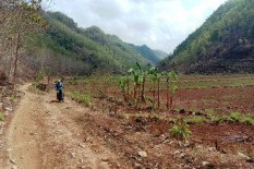 Membanggakan! Karst Gunungsewu Pertahankan Status UNESCO Global Geopark