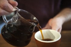 Fenomena Bayi Kecanduan Kopi, Warga di Polewali Mandar Percaya Kopi Mengobati Penyakit