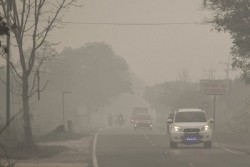 Waspada, Jarak Pandang di Kepulauan Riau Terus Menurun Akibat Kabut Asap