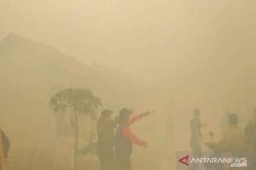 BNPB Libatkan 29.039 Personel untuk Padamkan Karhutla di Seluruh Indonesia