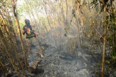 DPR RI: Jangan Tutup-Tutupi Korporasi Pelaku Karhutla yang Nakal