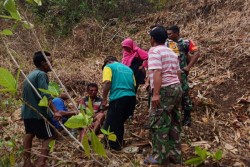 Pencari Rumput Terjatuh dari Gua Ngingrong Setinggi 30 Meter