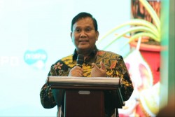Ikan Hias Jadi Perhatian Pemerintah