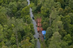 Dahan Pohon di Tahura Bunder Bahayakan Pengguna Jalan