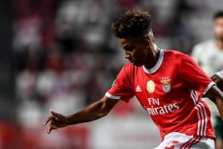 Gedson Fernandes, Mutiara Baru Tottenham Hotspur