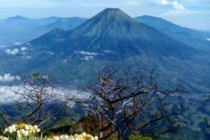 Besok Rabu 22 Januari 2020, Pendakian Gunung Sindoro Dibuka Kembali