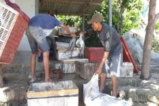 Panen Gurita, Nelayan di Pantai Nampu Terkendala Es Batu 