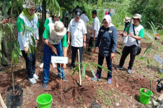 Tak Hanya Ekonomis, Bambu Bisa Atasi Lahan Kritis