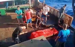 ABK WNI Kapal China Dikasih Makan Umpan Ikan Bau, Bikin Gatal & Keracunan
