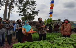 Kawasan Heritage Gedongkiwo Akan Dikembangkan