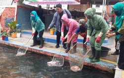 Warga Jogja Diajak Menjaga Imun Tubuh dengan Makan Ikan 